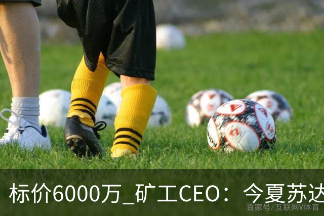 标价6000万 矿工CEO：今夏苏达科夫肯定去豪门